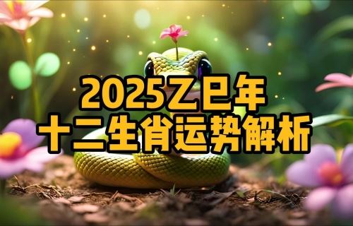 2026年12属相运势解析完整版