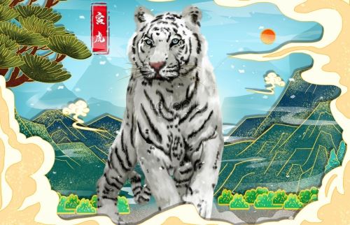 寅虎的涵义和标志