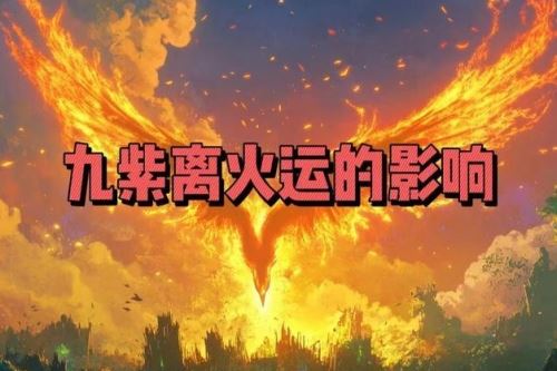 九紫离火最旺三个属相