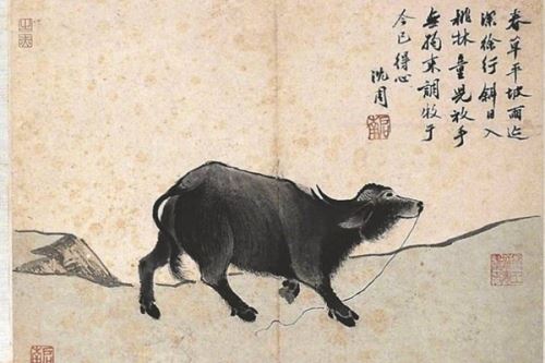 丑时属什么属相