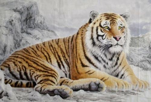 属虎人此生有两段孽缘