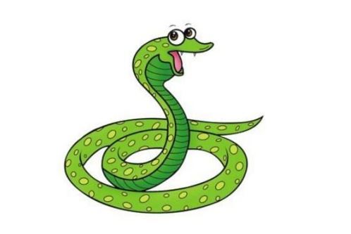 属蛇的住几楼最旺最好吉祥