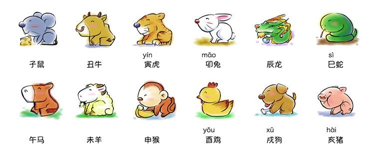 十二属相排序、次序表