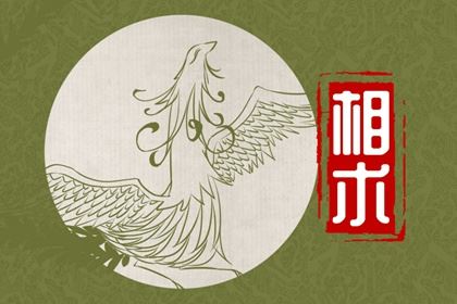 痣相侧脸女性脸部痣相图解