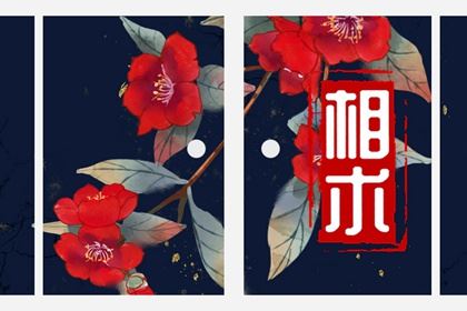 手上有三角纹的女性的命运 生命线处三角纹晚年富有