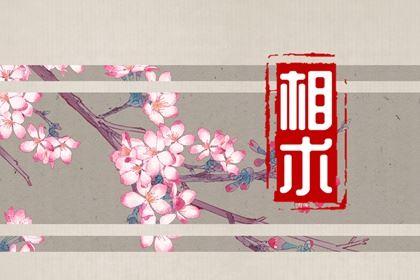 嘴角有痣的女性右下边好吗 终身衣食无忧