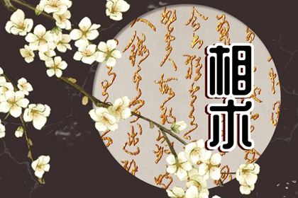 生来索债的孩子面相，有什么特色？