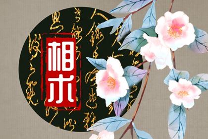 温顺男人面相 倒八字眉夫妻同心