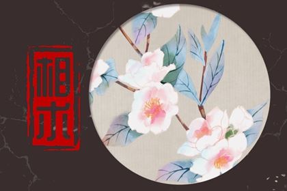 人脸上什么地方长痣最好 鼻尖有痣婚姻幸福美满 人脸上什么地方长痣最好 鼻尖有痣婚姻幸福美满