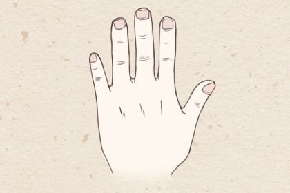 元宝纹是什么意思 有缺口阐明什么