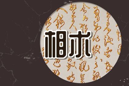 懂浪漫的男人面相 眉毛曲折出现弧型如柳叶