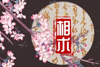 凤眼的女生人品好不好 凤眼女子为榜首贵