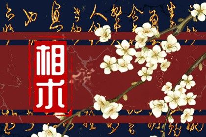 腰上长胎记什么意思 日子富有思维老练