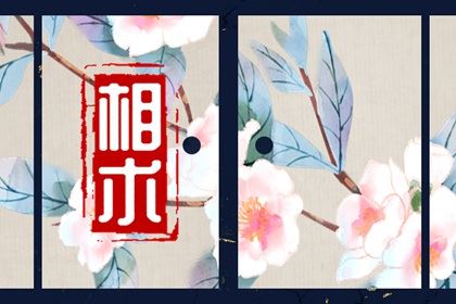 为什么有丹凤眼的人少 真实的丹凤眼万中无一