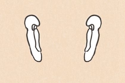 身上的哪些痣是富有痣 富有痣是什么意思