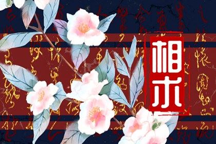 贵人下巴痣 最有福分的下巴痣图片