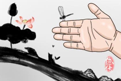 极品旺夫的女性手相 三特征合一效果最大