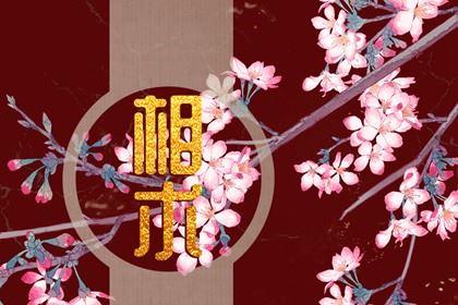 老公心爱衣食无忧的女性面相 眉毛靠拢鼻子规矩终身美好