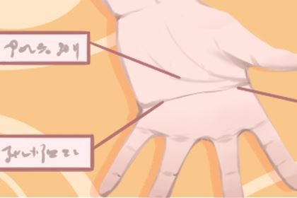 断掌手相图解,420x280