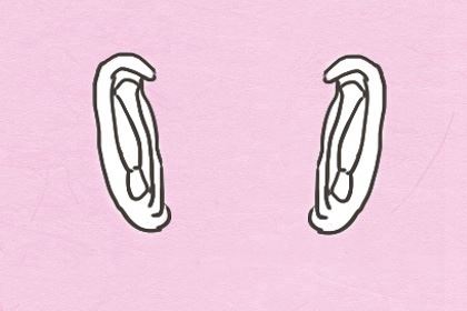 男女面部痣相图解 眉头痣外交广泛