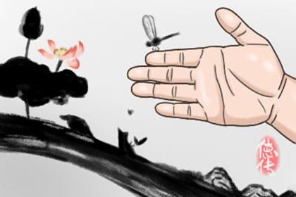 女性右手掌纹手相看命运 才智线