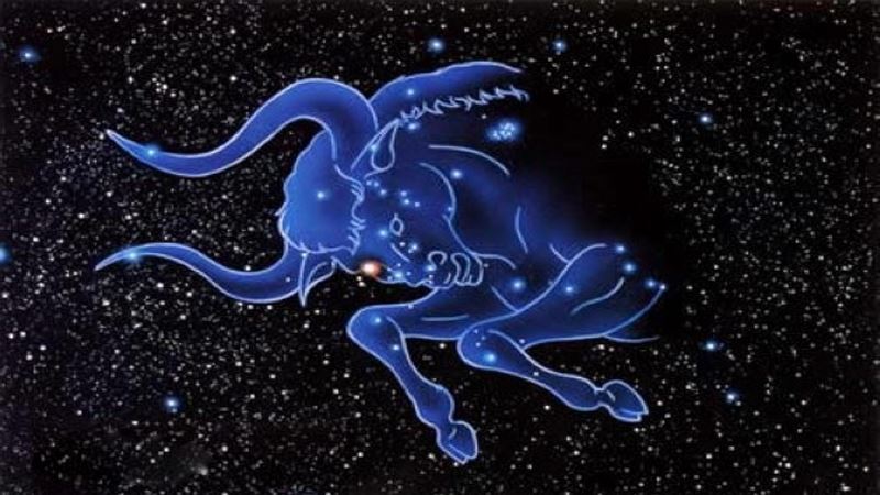 仅有能够虐金牛的星座