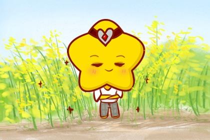 榜首星运 天蝎座2026年每月运势查询