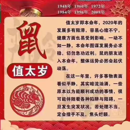 属鼠人值太岁怎么化解 