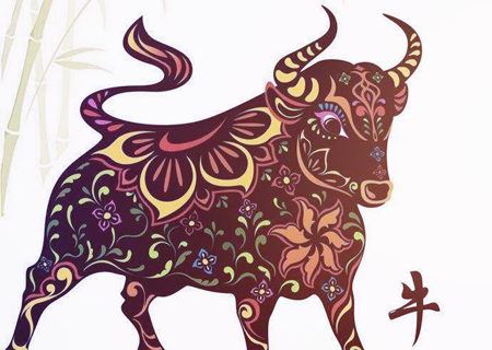 属相牛适合养什么宠物