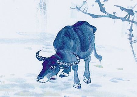 属牛人起姓名的宜忌