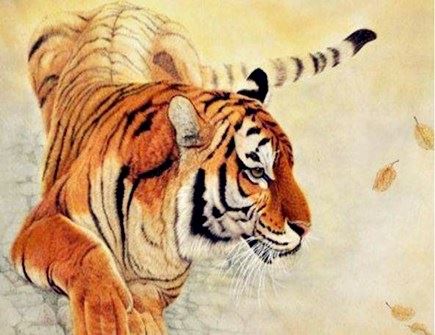 属虎女性婚姻与命运