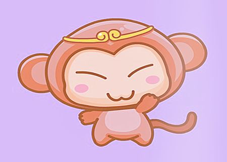 属相猴合适养什么宠物