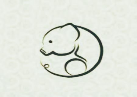 属猪的人几月出世最好