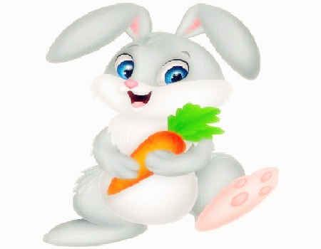 什么属相最旺兔 什么属相最旺兔