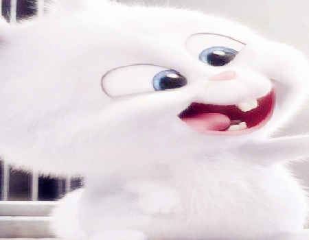 兔和羊的属相合不合 - 兔和羊的婚配怎样