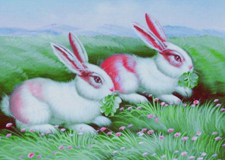 属兔和什么属相合财