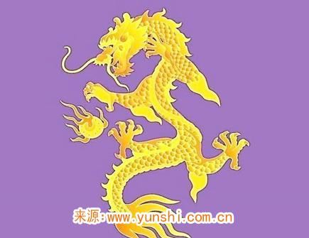 属龙纹身纹什么旺财