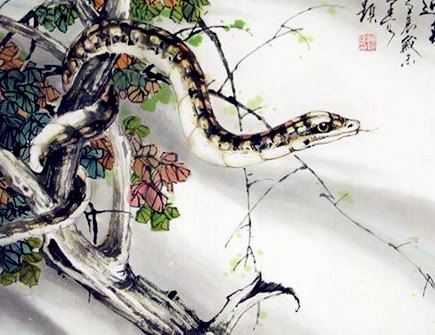 属蛇女性的性格特点及脾气