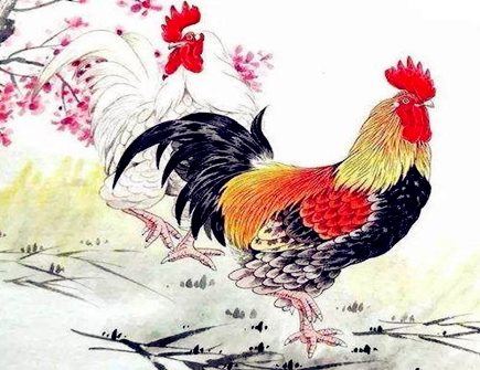 属鸡女性婚姻与命运