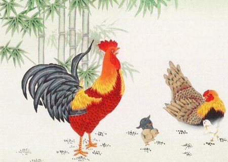 属相鸡最忌讳的色彩有哪些