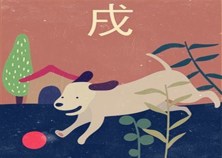 属狗合适什么工作