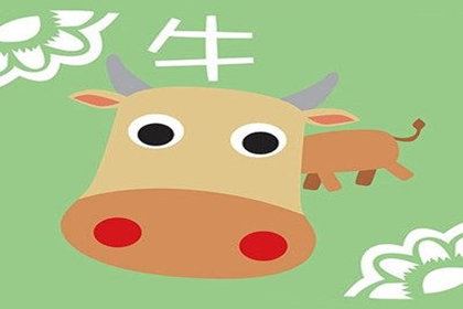 属牛人低谷时怎么改变现状