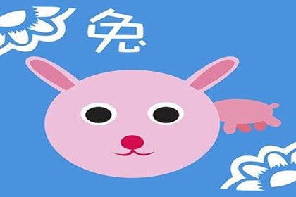 属兔人都有什么黑前史