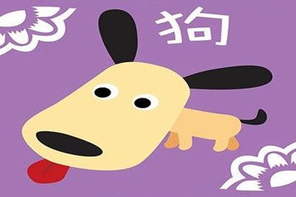 属狗人为什么信任爱情