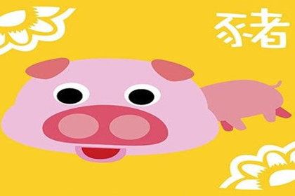 属猪的人何时能看破红尘