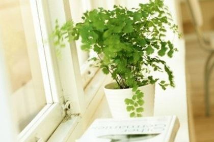 金牛座厌烦一个人的方法