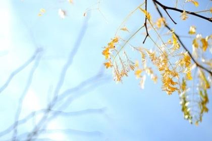 金牛座很喜欢做什么事