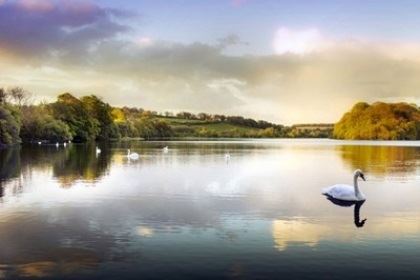 金牛座会纠结什么大全集