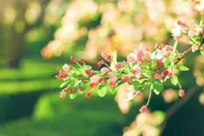 双子座有哪些爱情忌讳