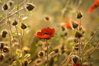 天秤座一定要懂的心思效应